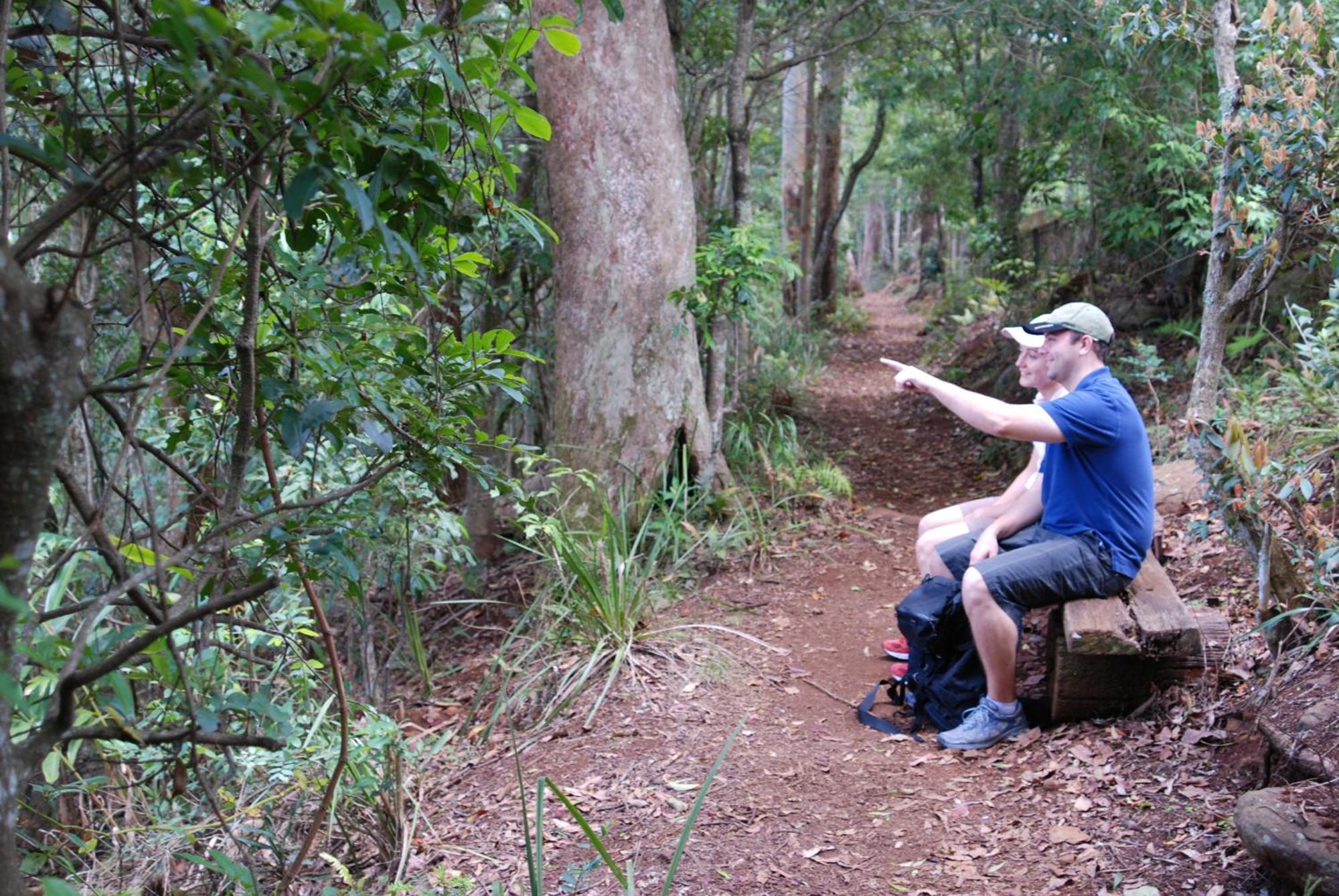 Witches Falls Cottages Mount Tamborine Bagian luar foto